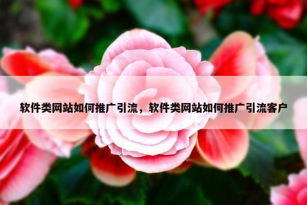 软件类网站如何推广引流，软件类网站如何推广引流客户