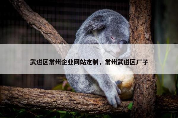 武进区常州企业网站定制，常州武进区厂子