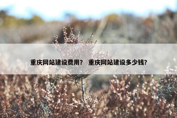 重庆网站建设费用？ 重庆网站建设多少钱？