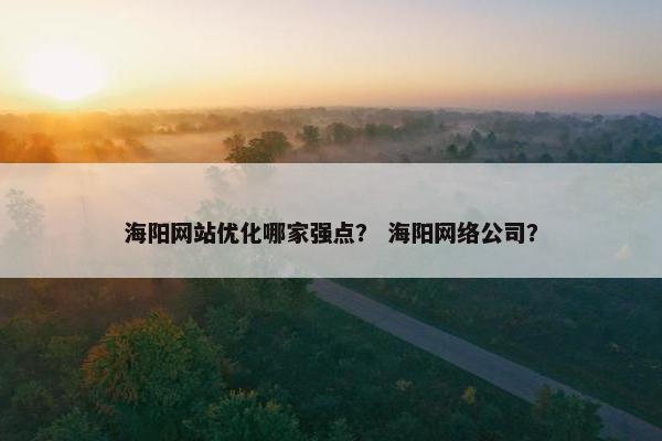 海阳网站优化哪家强点？ 海阳网络公司？