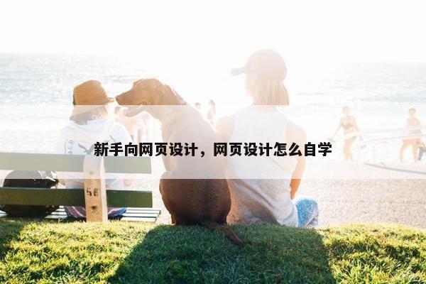 新手向网页设计，网页设计怎么自学