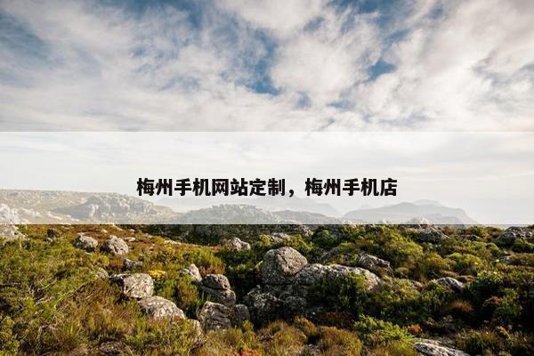 梅州手机网站定制，梅州手机店