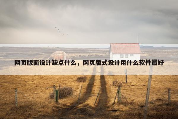 网页版面设计缺点什么，网页版式设计用什么软件最好