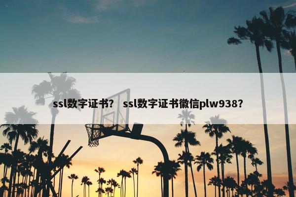 ssl数字证书？ ssl数字证书徽信plw938？