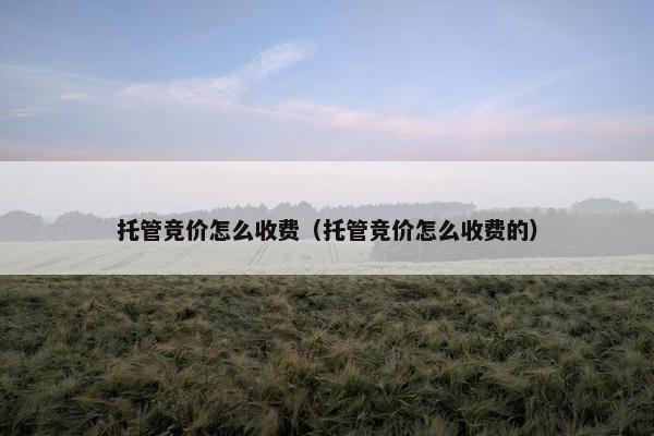 托管竞价怎么收费（托管竞价怎么收费的）