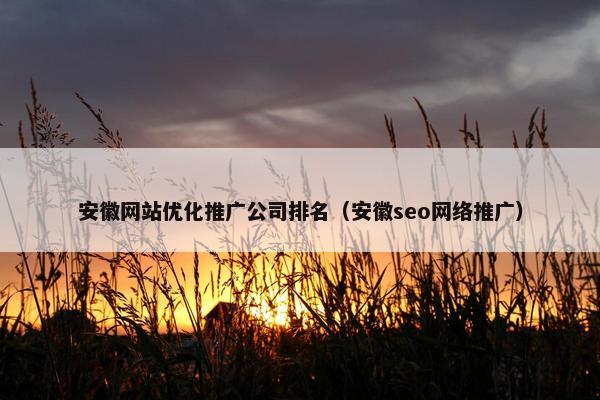 安徽网站优化推广公司排名（安徽seo网络推广）