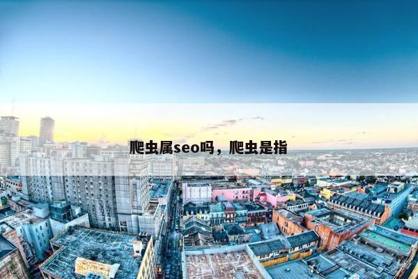 爬虫属seo吗，爬虫是指