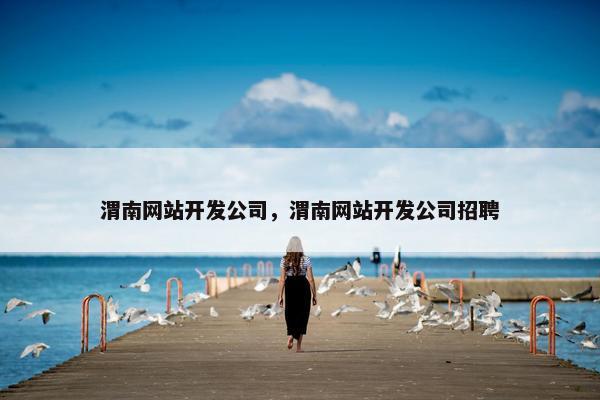 渭南网站开发公司，渭南网站开发公司招聘
