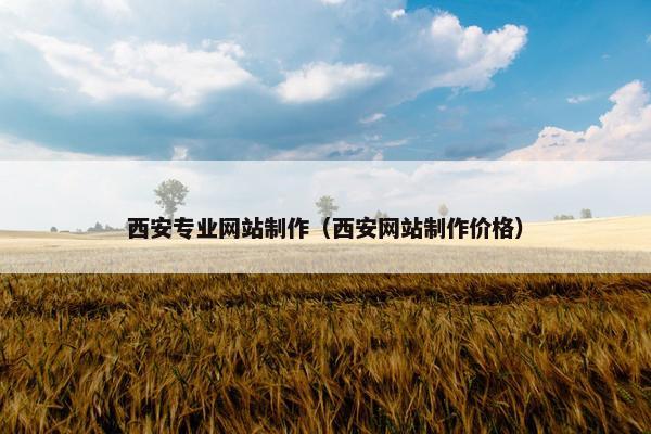西安专业网站制作（西安网站制作价格）