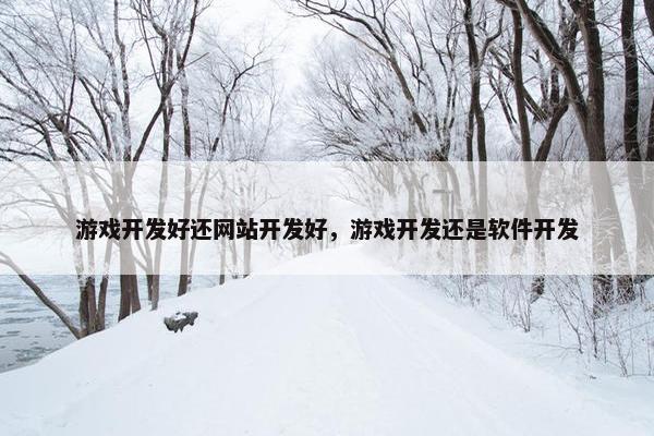 游戏开发好还网站开发好，游戏开发还是软件开发