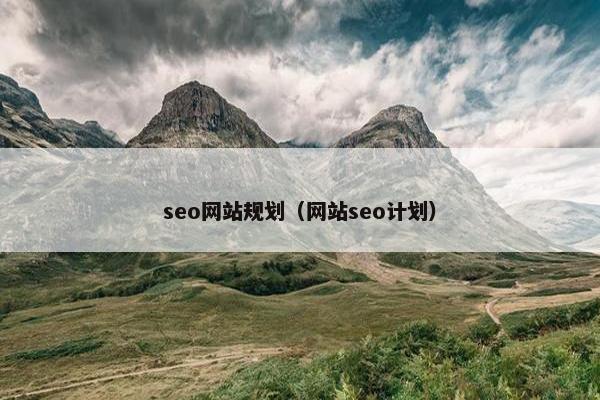 seo网站规划（网站seo计划）