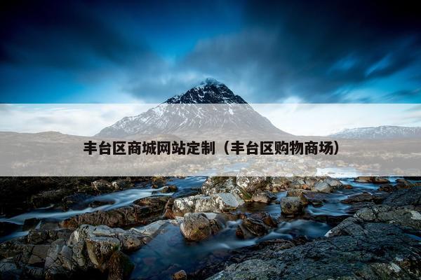 丰台区商城网站定制（丰台区购物商场）