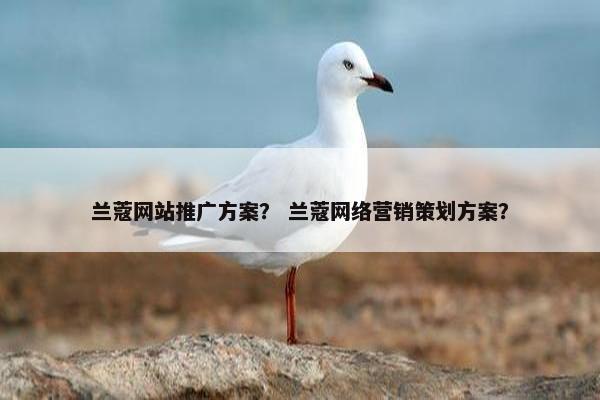 兰蔻网站推广方案？ 兰蔻网络营销策划方案？