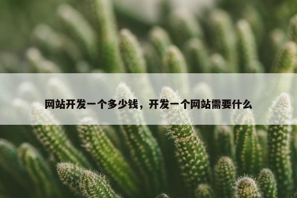 网站开发一个多少钱，开发一个网站需要什么