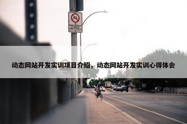 动态网站开发实训项目介绍，动态网站开发实训心得体会