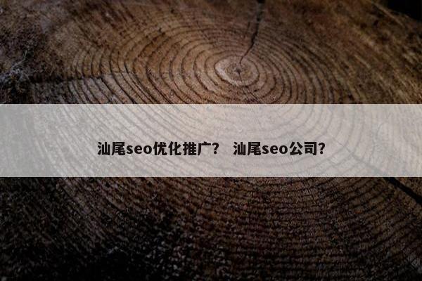 汕尾seo优化推广？ 汕尾seo公司？