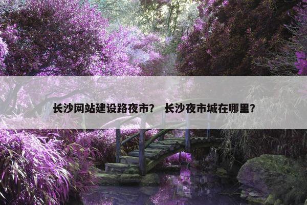 长沙网站建设路夜市？ 长沙夜市城在哪里？