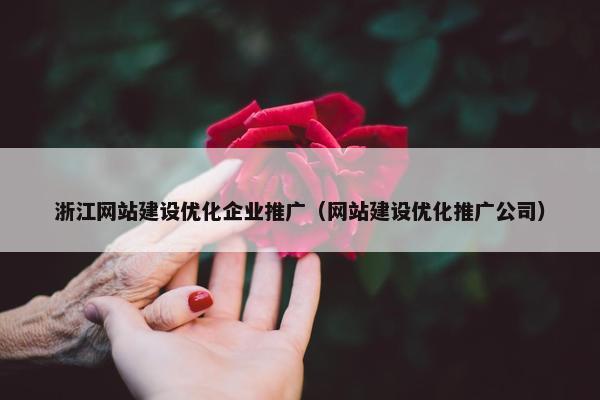 浙江网站建设优化企业推广（网站建设优化推广公司）