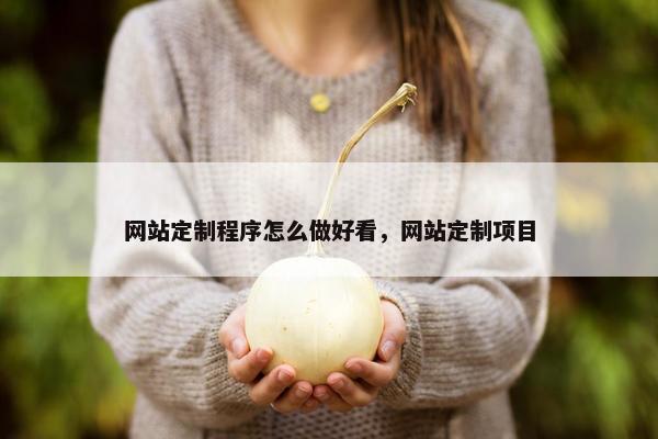 网站定制程序怎么做好看，网站定制项目