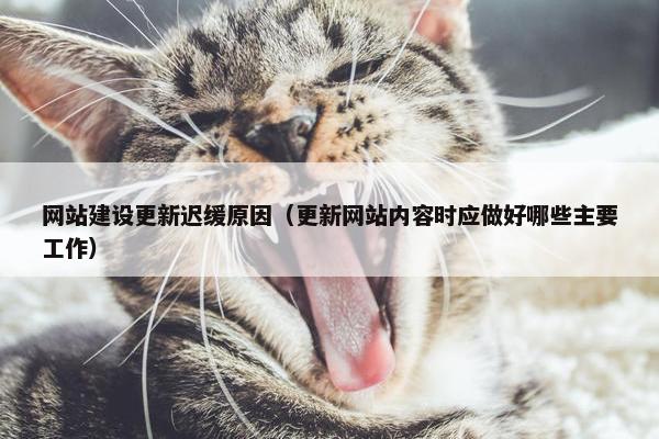 网站建设更新迟缓原因（更新网站内容时应做好哪些主要工作）