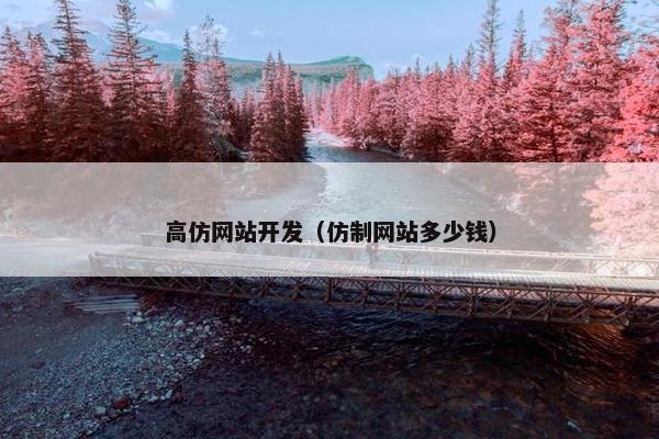 高仿网站开发（仿制网站多少钱）