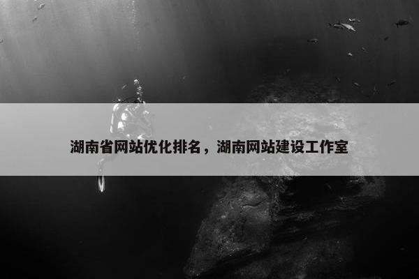 湖南省网站优化排名，湖南网站建设工作室