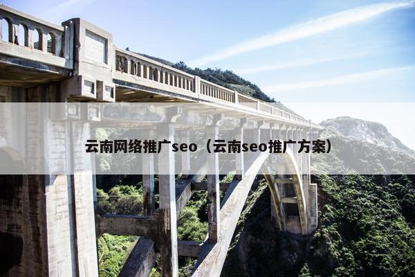 云南网络推广seo（云南seo推广方案）