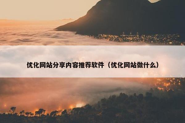 优化网站分享内容推荐软件（优化网站做什么）