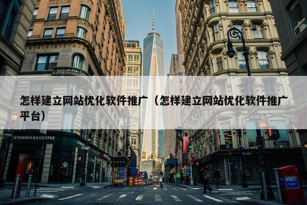 怎样建立网站优化软件推广（怎样建立网站优化软件推广平台）