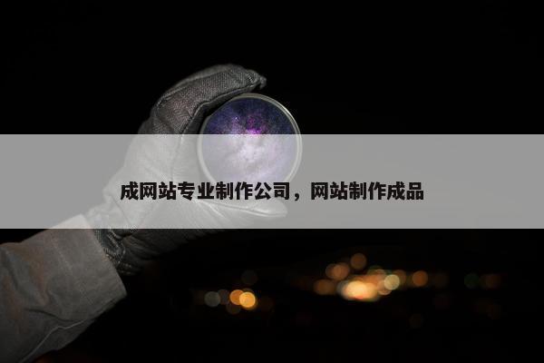 成网站专业制作公司，网站制作成品