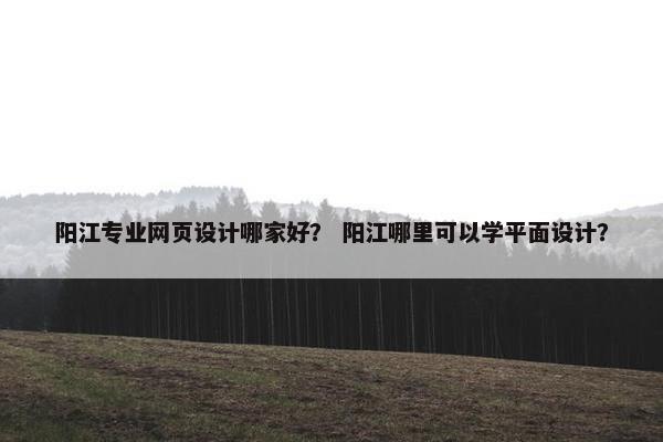 阳江专业网页设计哪家好？ 阳江哪里可以学平面设计？