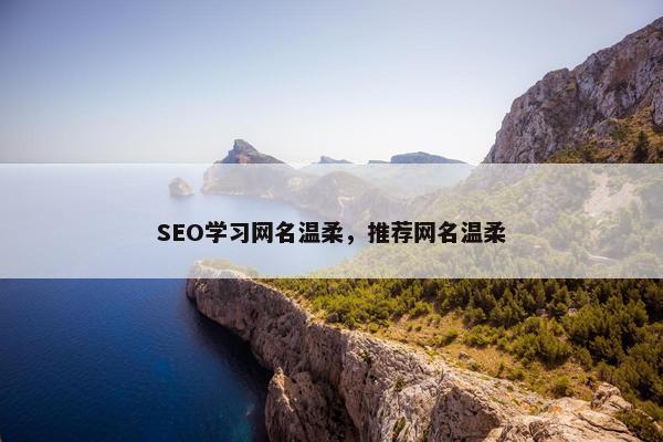 SEO学习网名温柔，推荐网名温柔
