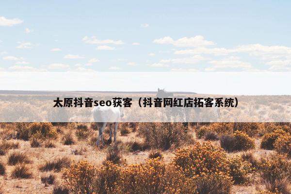 太原抖音seo获客（抖音网红店拓客系统）