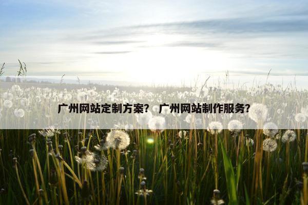 广州网站定制方案？ 广州网站制作服务？