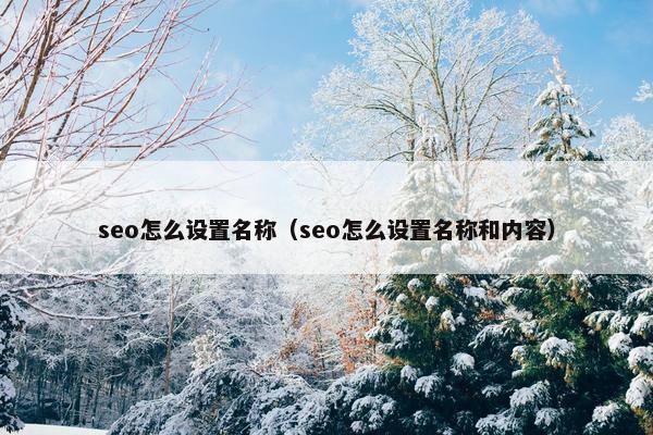 seo怎么设置名称（seo怎么设置名称和内容）