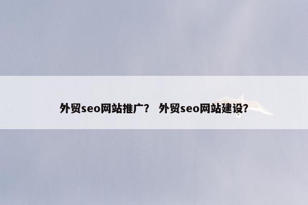 外贸seo网站推广？ 外贸seo网站建设？