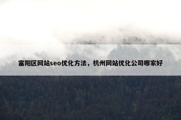 富阳区网站seo优化方法，杭州网站优化公司哪家好