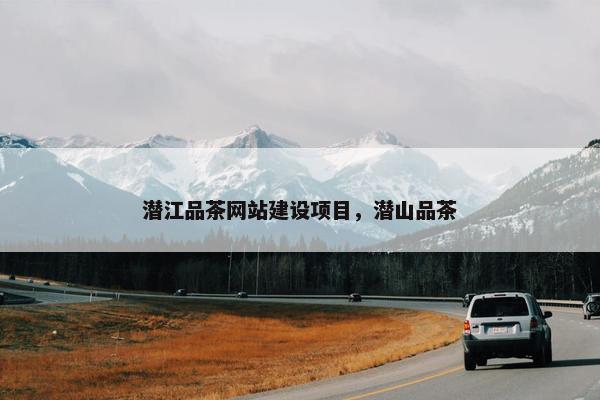潜江品茶网站建设项目，潜山品茶