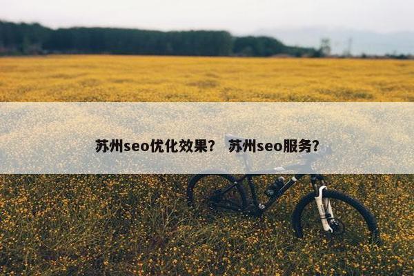 苏州seo优化效果？ 苏州seo服务？