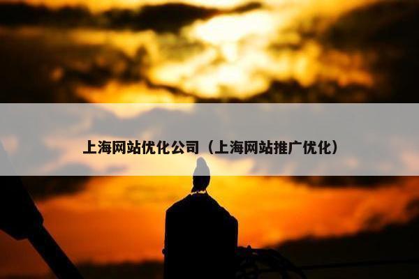 上海网站优化公司（上海网站推广优化）