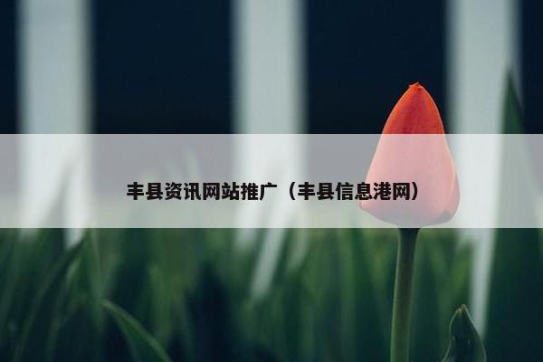 丰县资讯网站推广（丰县信息港网）