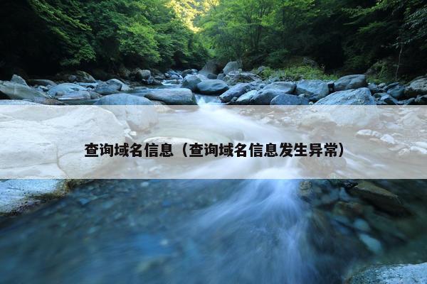 查询域名信息（查询域名信息发生异常）