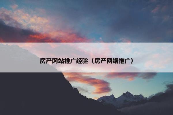 房产网站推广经验（房产网络推广）