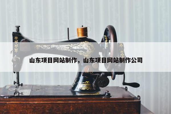 山东项目网站制作，山东项目网站制作公司