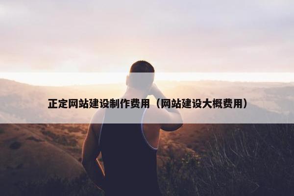 正定网站建设制作费用（网站建设大概费用）