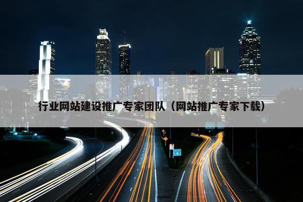 行业网站建设推广专家团队（网站推广专家下载）