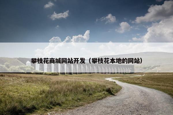 攀枝花商城网站开发（攀枝花本地的网站）