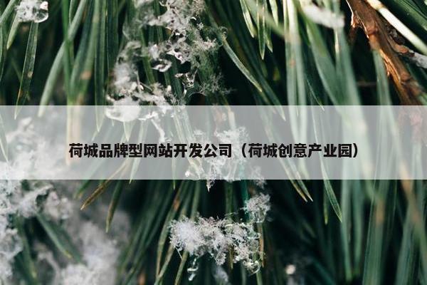 荷城品牌型网站开发公司（荷城创意产业园）
