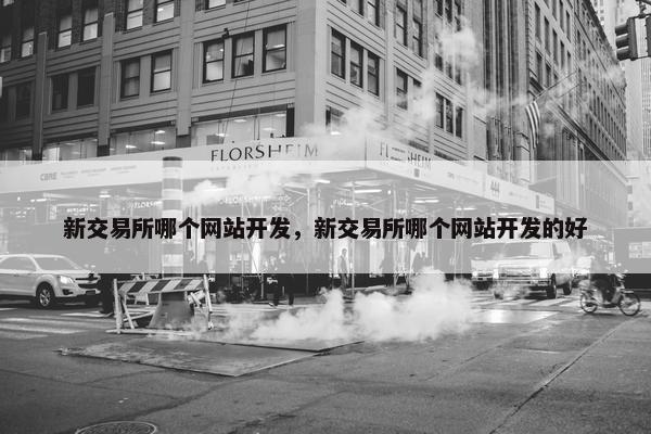 新交易所哪个网站开发，新交易所哪个网站开发的好