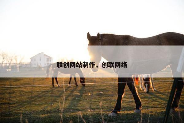 联创网站制作，创联网络